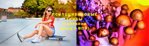 молекула духа Алексин