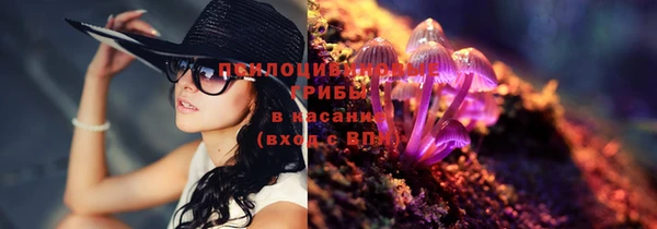 винт Алзамай