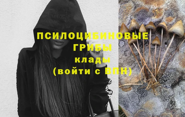 apvp Алексеевка