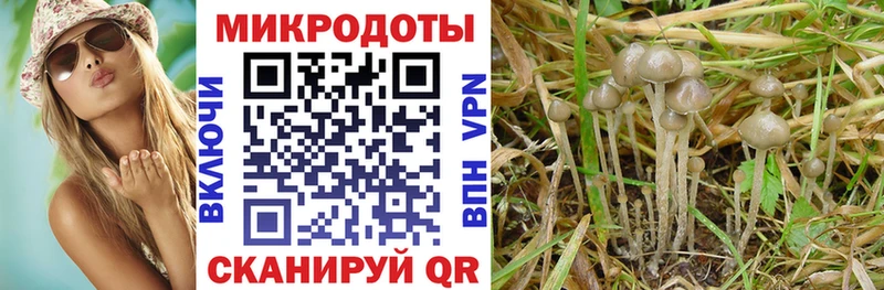 дарнет шоп  MEGA зеркало  Псилоцибиновые грибы ЛСД  Нижний Новгород 