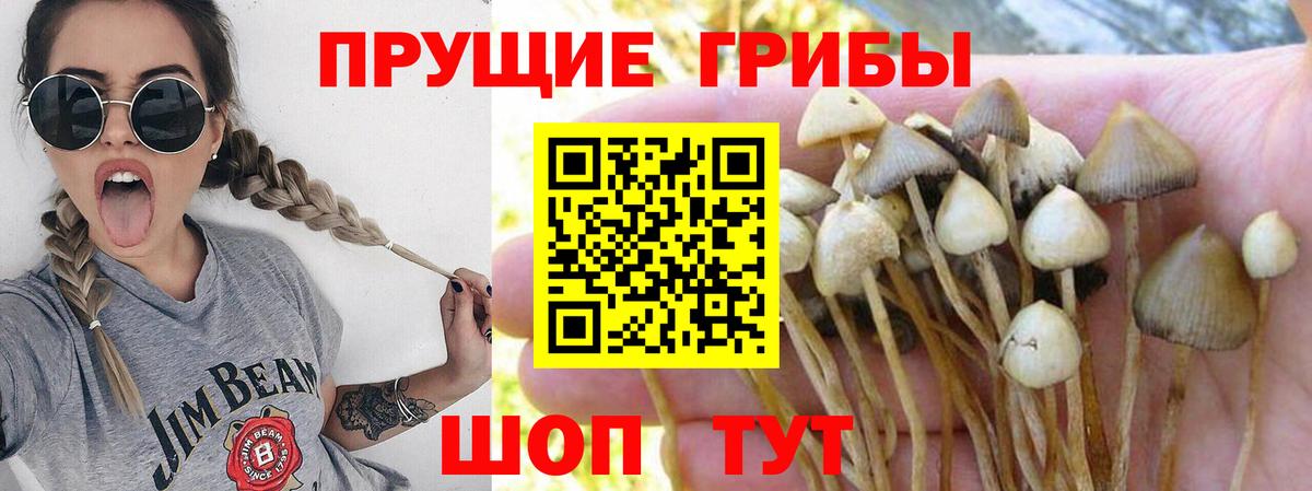 Псилоцибиновые грибы Magic Shrooms  Псилоцибиновые грибы Cubensis  Нижний Новгород  Вход с VPN 